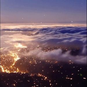 Meet your Posher, Hunter